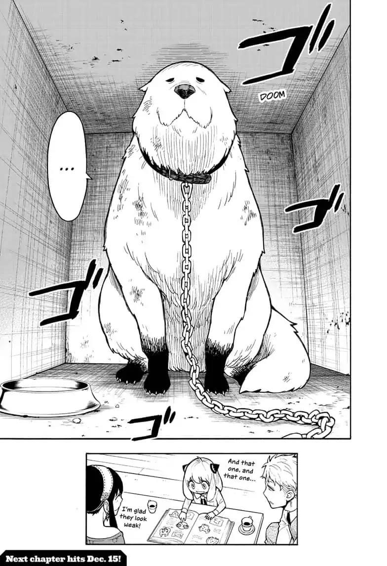 Spy x Family Manga Chapter 17 page 19 - Mission 17