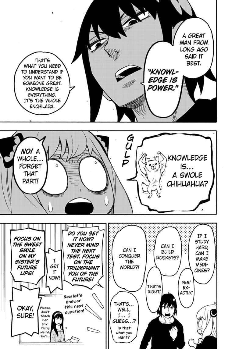 Spy x Family Manga Chapter 26 page 17 - Mission 26