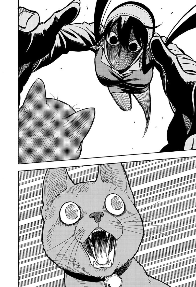 Spy x Family Manga Chapter 43 page 16 - Mission 43