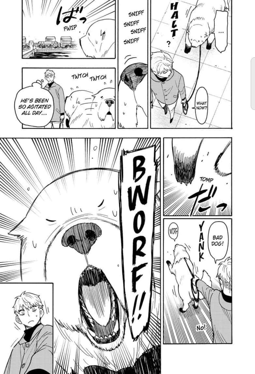 Spy x Family Manga Chapter 58 page 13 - Mission 58: Part 1