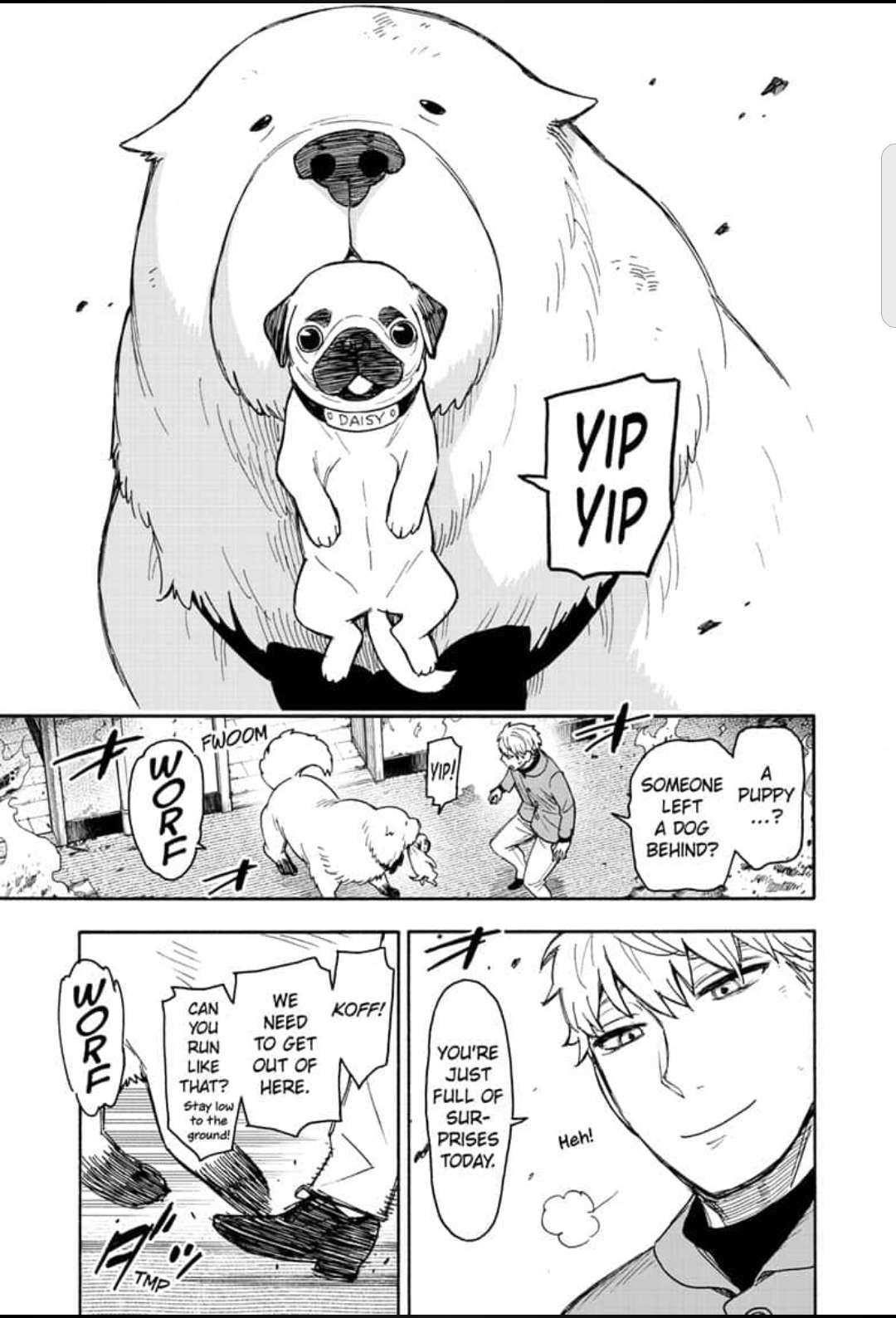 Spy x Family Manga Chapter 58 page 17 - Mission 58: Part 1