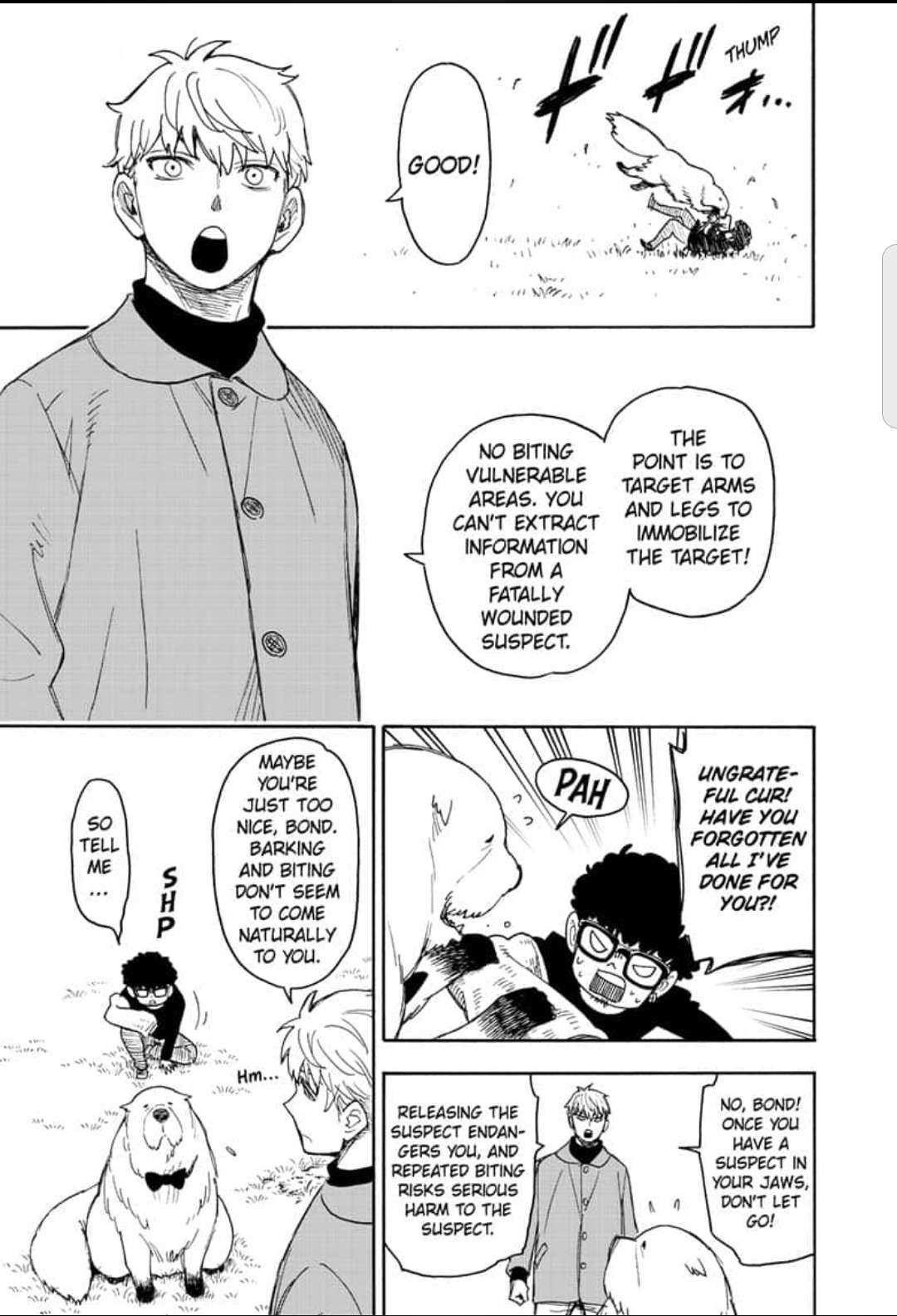 Spy x Family Manga Chapter 58 page 3 - Mission 58: Part 1