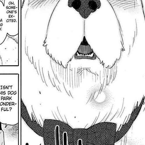 Spy x Family Manga Chapter 62.5 (Short Mission 8) cover